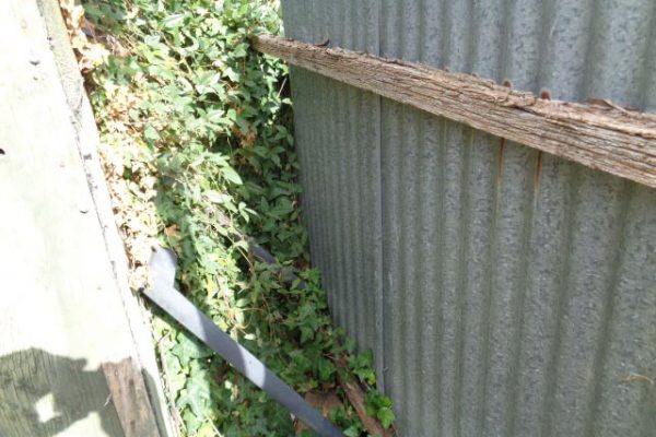 DSC00970
